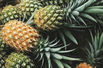 Ананас настоящий - aptechka.org