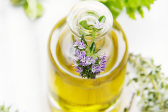 Чабрец, тимьян ползучий, или богородская трава - aptechka.org