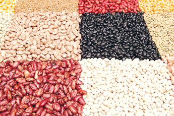 Фасоль обыкновенная - aptechka.org