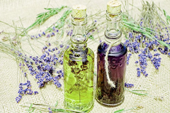 Лекарственные растения, применяемые для лечения стоматита, фурункулеза и ячменя - aptechka.org