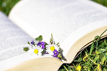 Развитие отечественной фитотерапии - aptechka.org