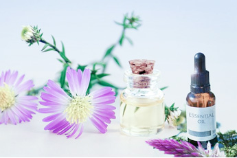 Летний сбор растений для «зеленой» косметики - aptechka.org