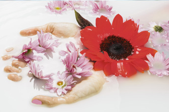 Фитотерапия для «бархатных» ручек - aptechka.org