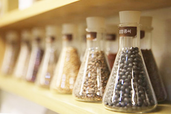 Использование пряностей и противопоказания - aptechka.org