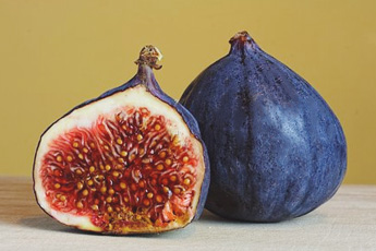 Инжир садовый, или смоковница - aptechka.org