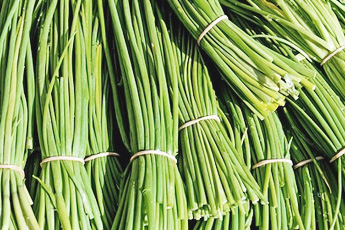 Лук репчатый - aptechka.org