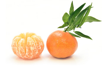 Мандарин - aptechka.org