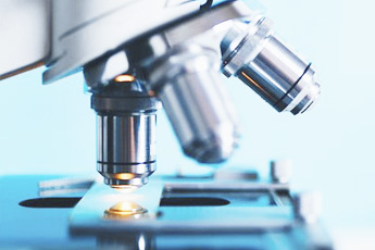 Биологическая активность растений со стимулирующим и адаптогенным действием - aptechka.org