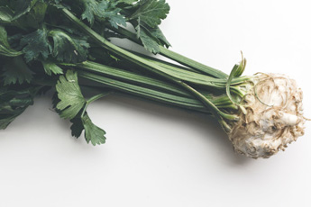 Сельдерей - aptechka.org