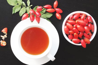 Шиповник коричный - aptechka.org