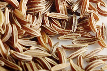 Тмин обыкновенный - aptechka.org