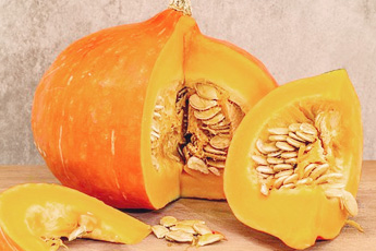 Тыква обыкновенная - aptechka.org