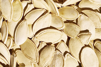 Тыква обыкновенная - aptechka.org